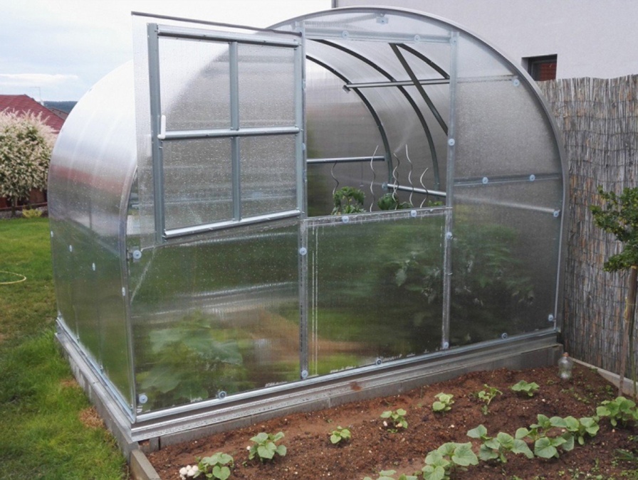 Skleník z polykarbonátu Gutta Gardentec Classic